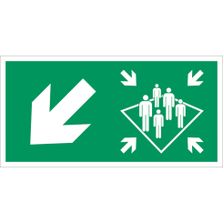 Muster station arrow downstairs left IMO skylt - Klar vinyl 50 x 100 mm