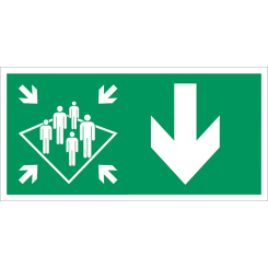 Muster station arrow down IMO skylt - Klar vinyl 50 x 100 mm