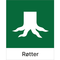 Røtter
